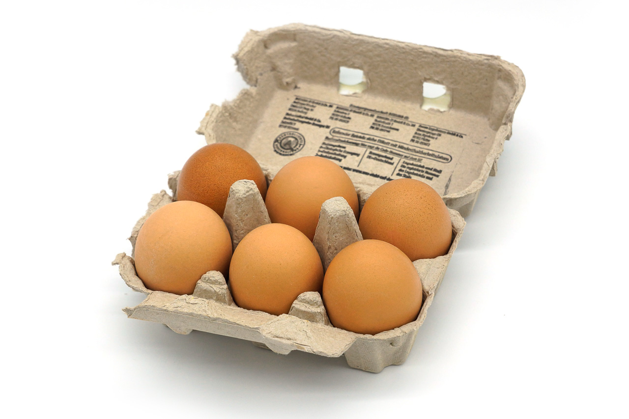 Frische Eier aus Freilandhaltung 6er
