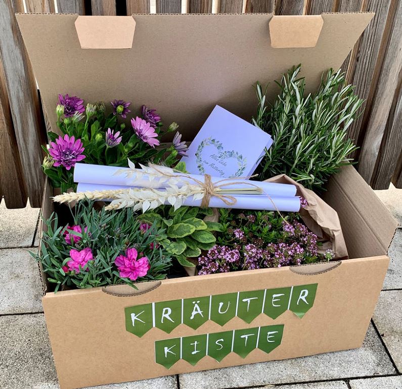 Kräuter-Sommerblumen-Kiste